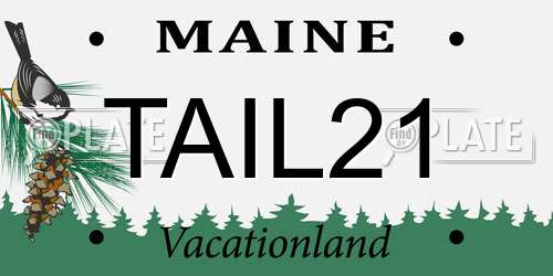 TAIL21 Maine License Plate
