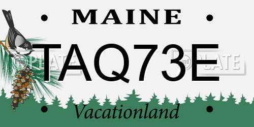 TAQ73E Maine License Plate