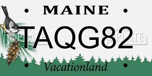 TAQG82 Maine License Plate