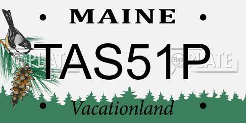 TAS51P Maine License Plate