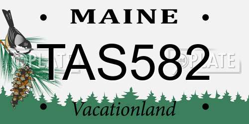 TAS582 Maine License Plate