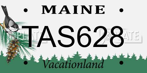 TAS628 Maine License Plate