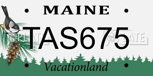 TAS675 Maine License Plate