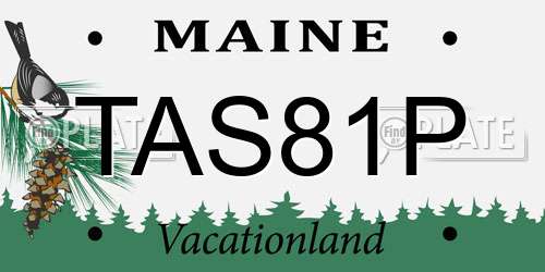 TAS81P Maine License Plate