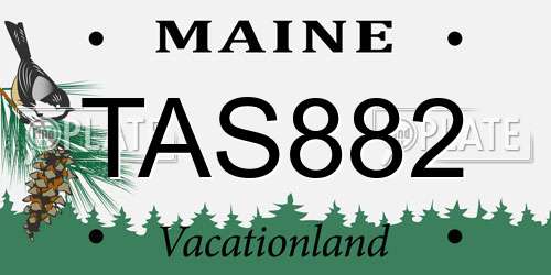 TAS882 Maine License Plate