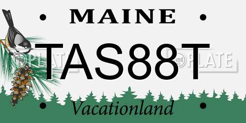 TAS88T Maine License Plate