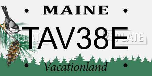 TAV38E Maine License Plate