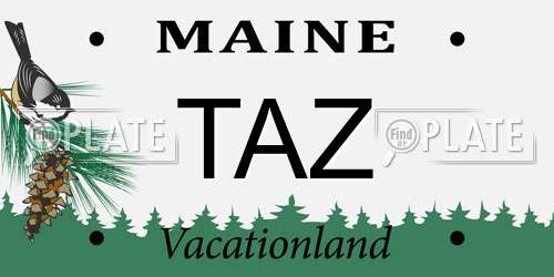 TAZ Maine License Plate