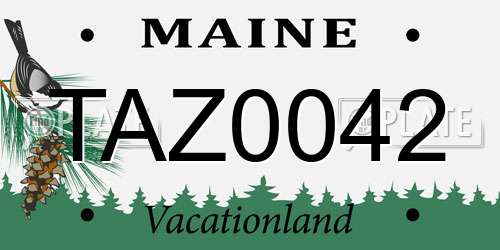 TAZ0042 Maine License Plate
