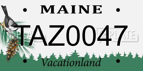 TAZ0047 Maine License Plate