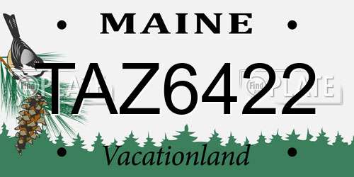 TAZ6422 Maine License Plate