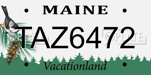 TAZ6472 Maine License Plate