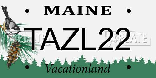 TAZL22 Maine License Plate