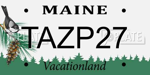 TAZP27 Maine License Plate