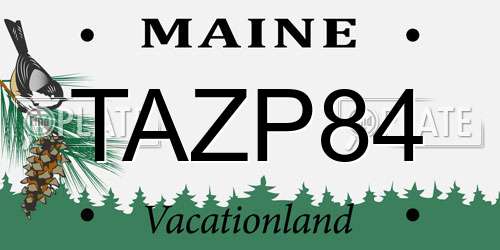 TAZP84 Maine License Plate
