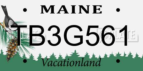 TB3G561 Maine License Plate