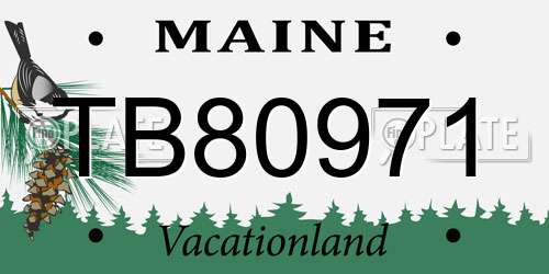 TB80971 Maine License Plate