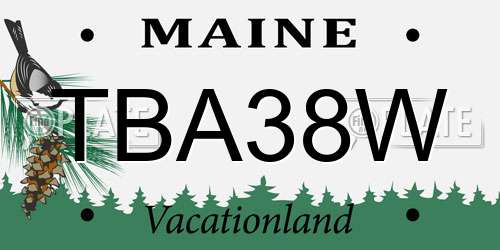 TBA38W Maine License Plate
