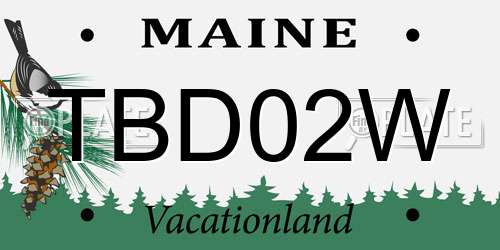 TBD02W Maine License Plate