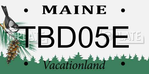 TBD05E Maine License Plate