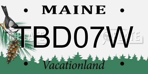 TBD07W Maine License Plate
