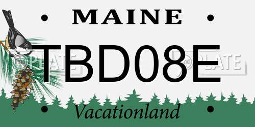 TBD08E Maine License Plate