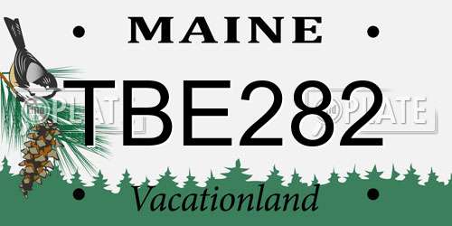 TBE282 Maine License Plate