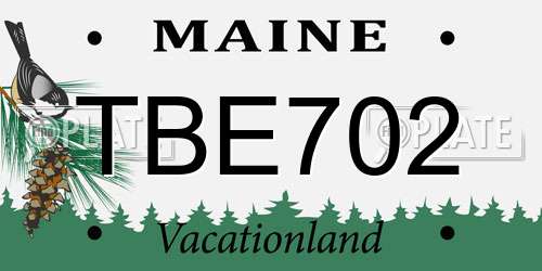 TBE702 Maine License Plate