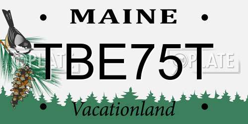 TBE75T Maine License Plate