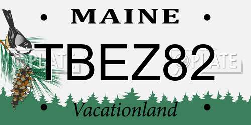 TBEZ82 Maine License Plate