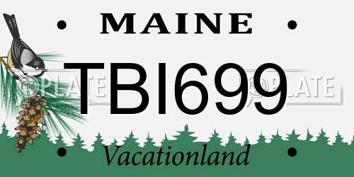 TBI699 Maine License Plate
