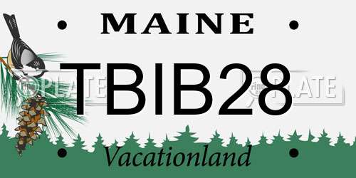 TBIB28 Maine License Plate