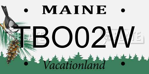 TBO02W Maine License Plate