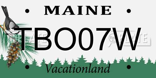 TBO07W Maine License Plate