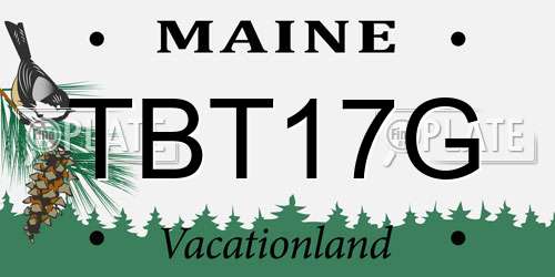 TBT17G Maine License Plate