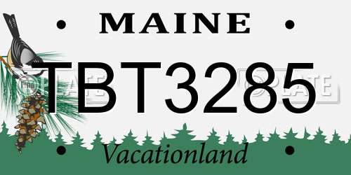 TBT3285 Maine License Plate