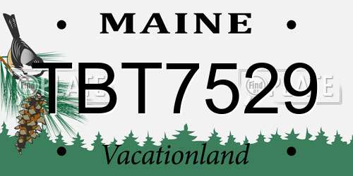 TBT7529 Maine License Plate