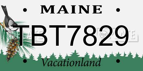 TBT7829 Maine License Plate