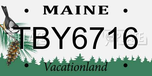 TBY6716 Maine License Plate