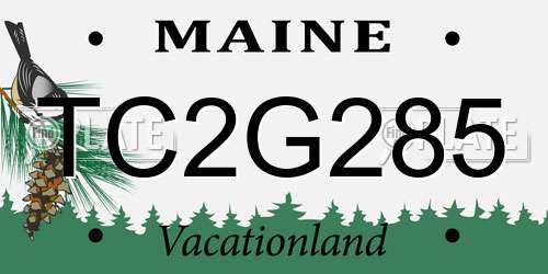 TC2G285 Maine License Plate