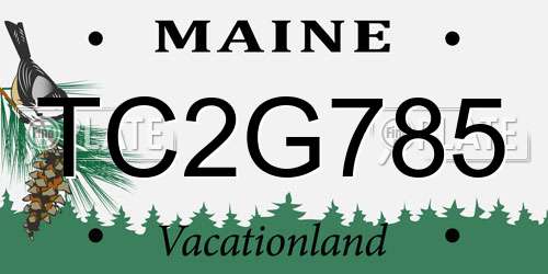 TC2G785 Maine License Plate