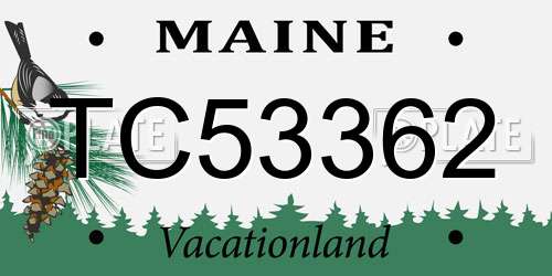 TC53362 Maine License Plate