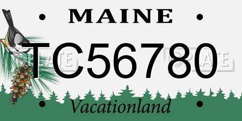 TC56780 Maine License Plate