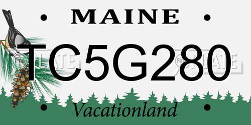 TC5G280 Maine License Plate