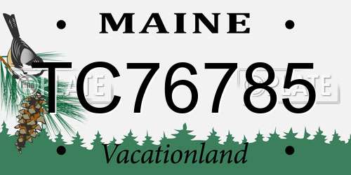 TC76785 Maine License Plate
