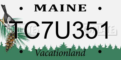 TC7U351 Maine License Plate