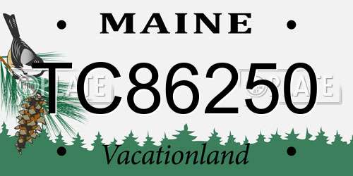 TC86250 Maine License Plate