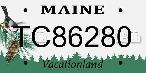 TC86280 Maine License Plate