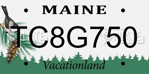 TC8G750 Maine License Plate