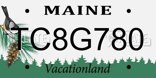 TC8G780 Maine License Plate